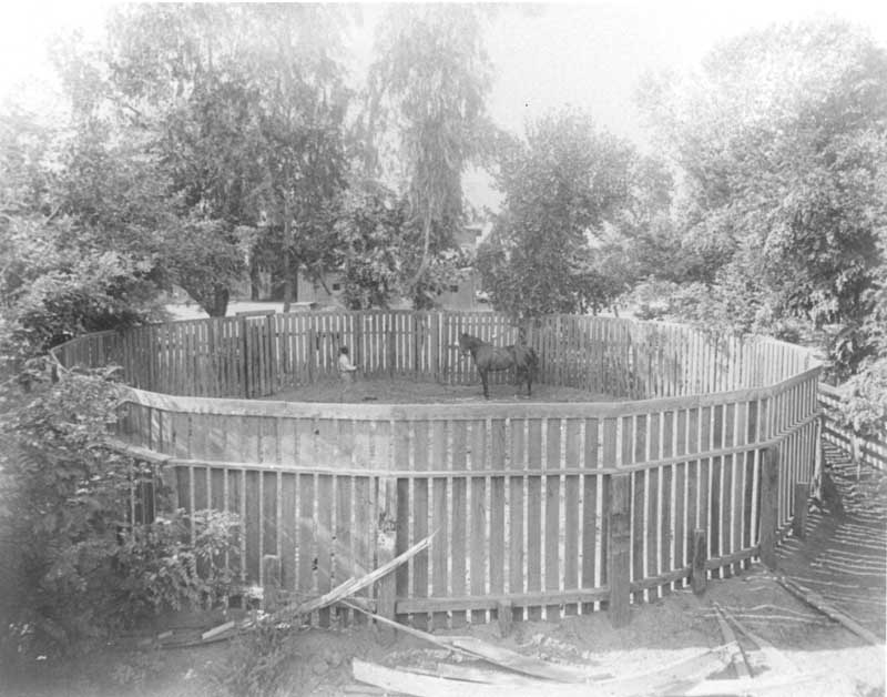 #79 Kern River above the canal, north channel taken from the county bridge looking westward downstream.