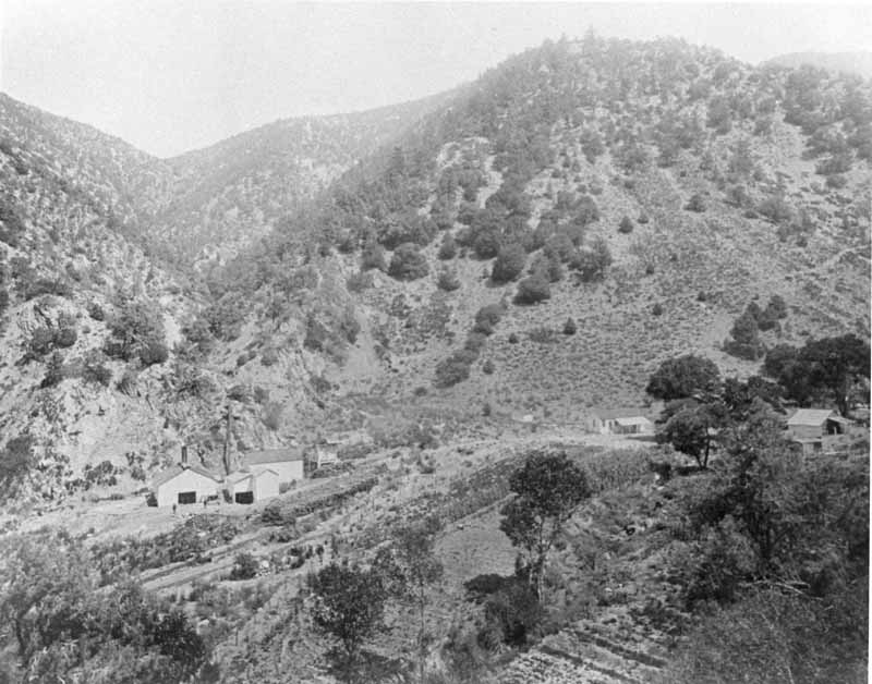 #23 San Emigidio mine, 1880s