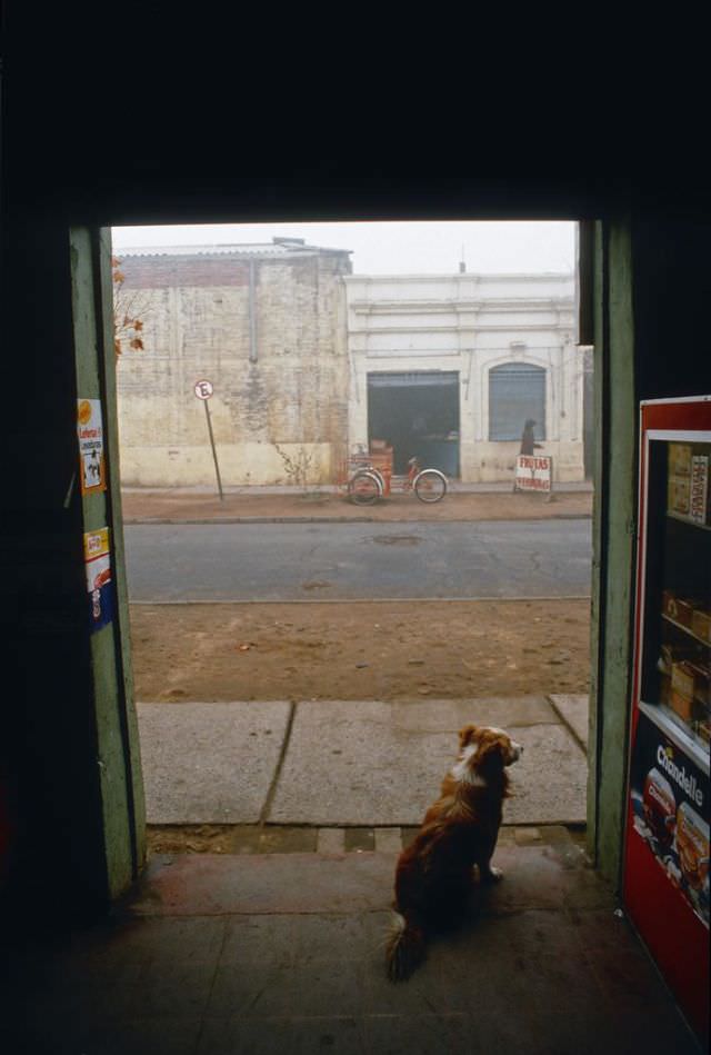 #49 Winter, Santiago, 1988