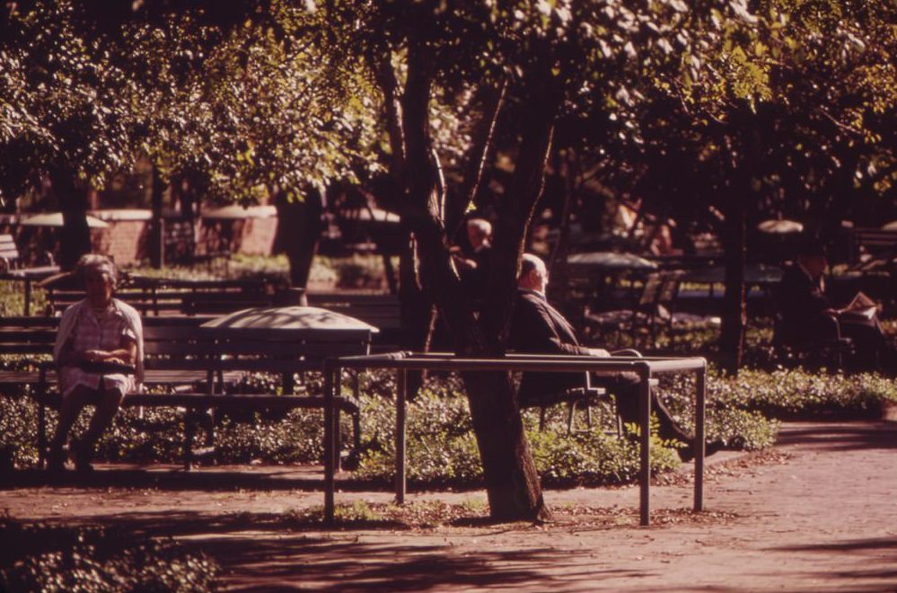 #60 Quiet Greenness Of A City Park, August 1973