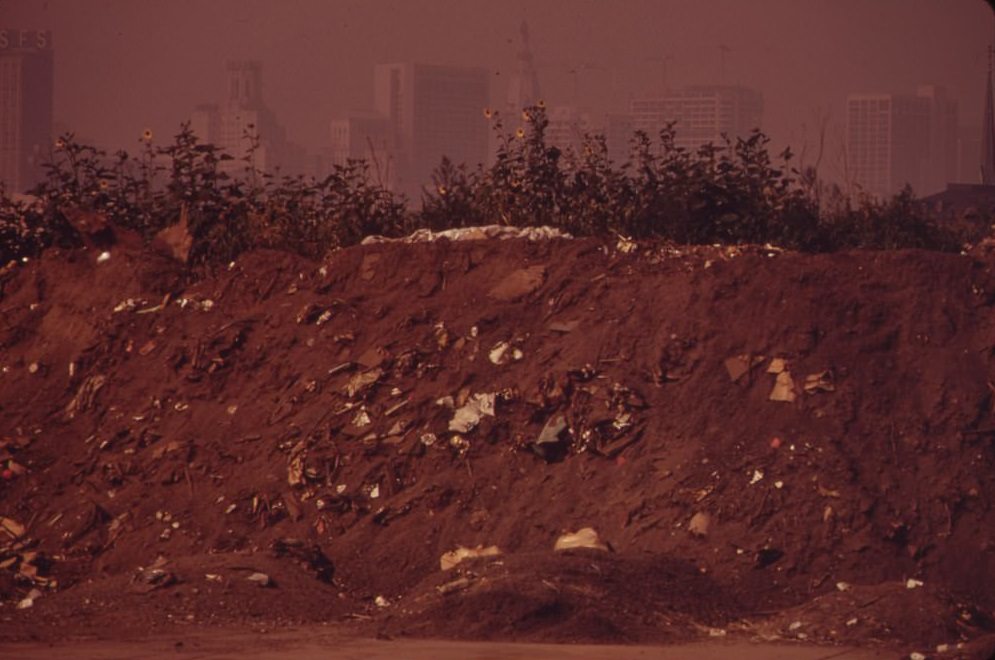 #70 Littered Embankment Near Vine Street Exit Of I-95. Center City Office Buildings In Background, August 1973