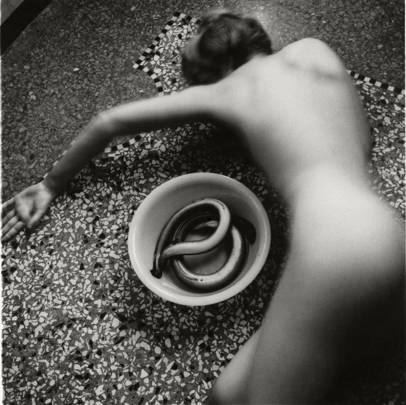 #27 From Eel series, Venice, Italy, 1978