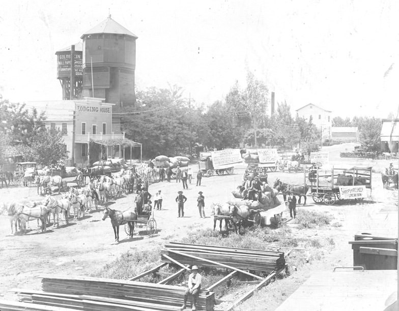 #32 Alfred Ketcham hauling wool with 12-span team 1894