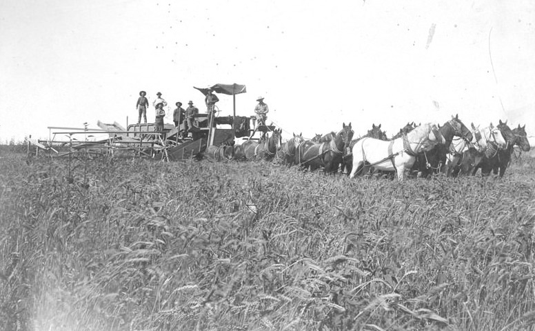 #33 Harvester Crew on T.W. Standart’s Huron Ranch 1894