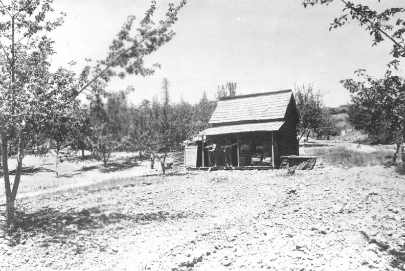 #34 Young’s Cabin 1893