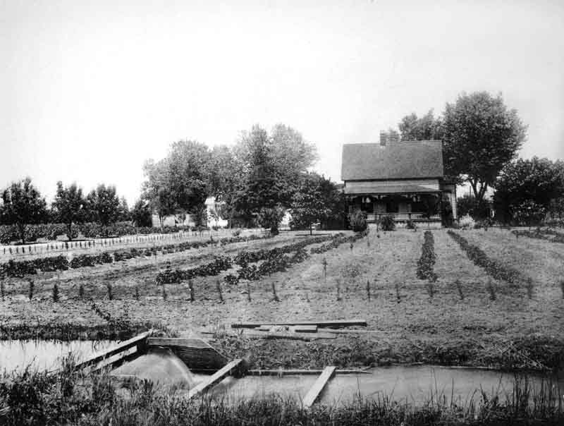 #4 Twenty-acre Colony Farm Fresno County California, 1890