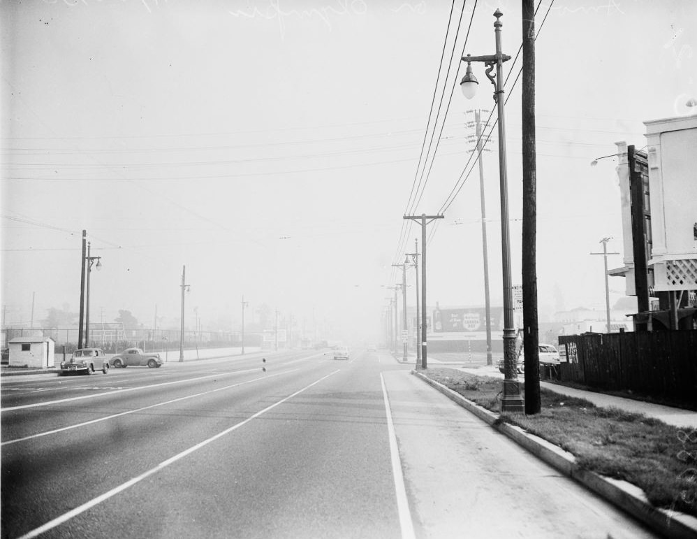 #108 Olive Drive from Sunset Boulevard, 1950