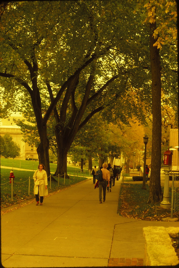 #31 UW Madison, Fall 1985