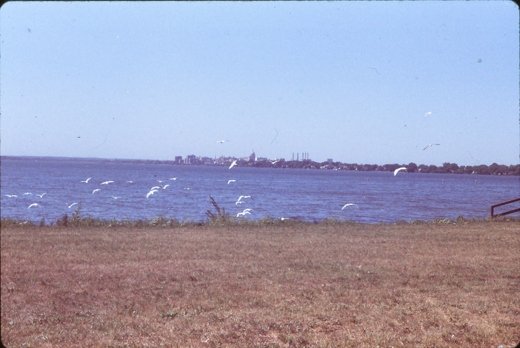 #80 Madison Skyline from Olrich Park, Lake Monona, 1980s
