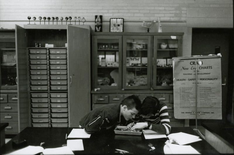 #63 Two students dissecting a frog