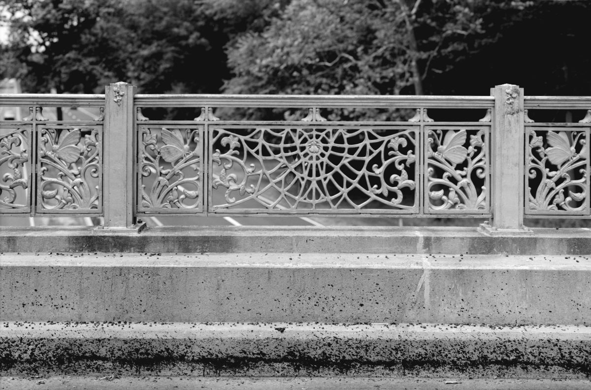 #4 Butterfly’s on Merwin’s Bridge