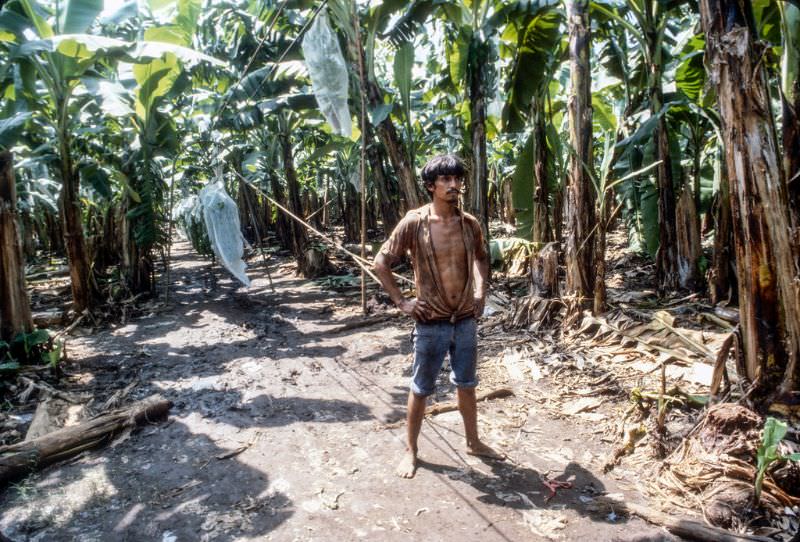 #10 Dole banana plantation, Chinandega, Nicaragua, 1979