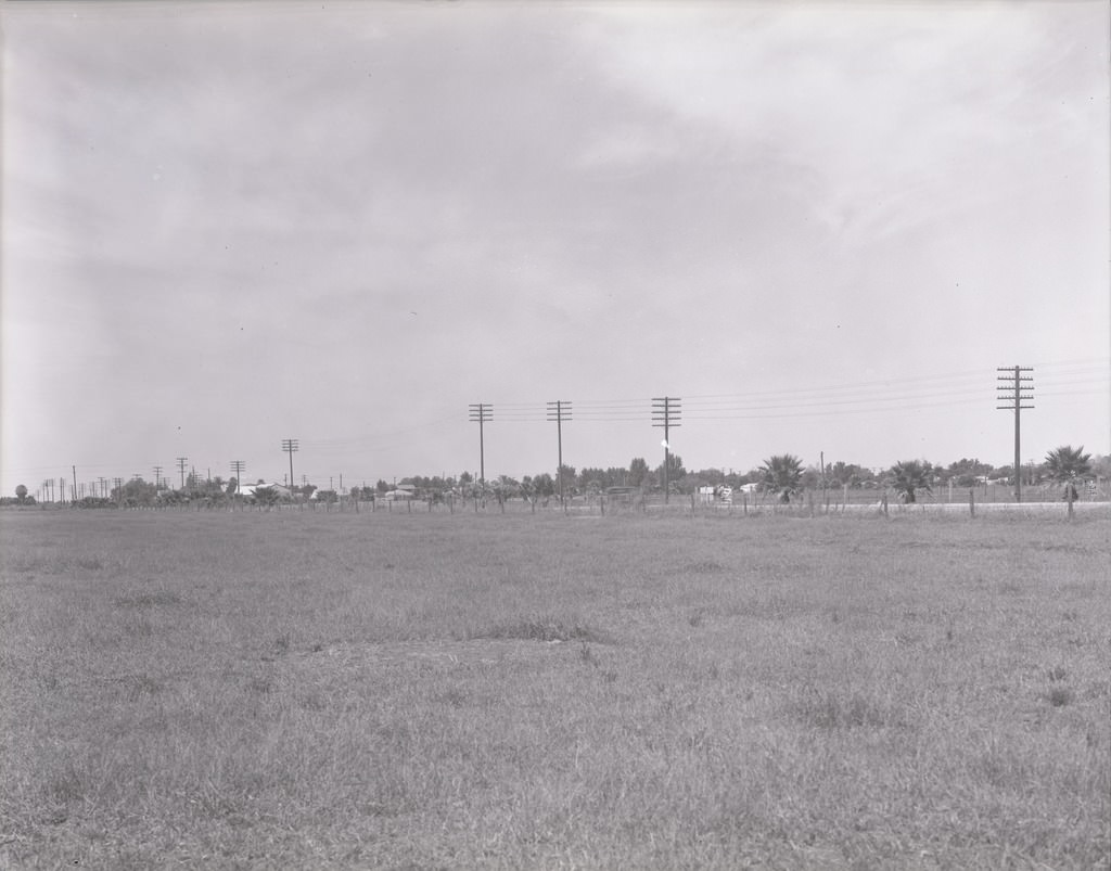#87 Panoramic View Looking Toward the Campus of Arizona State Teacher’s College, Phoenix, 1940