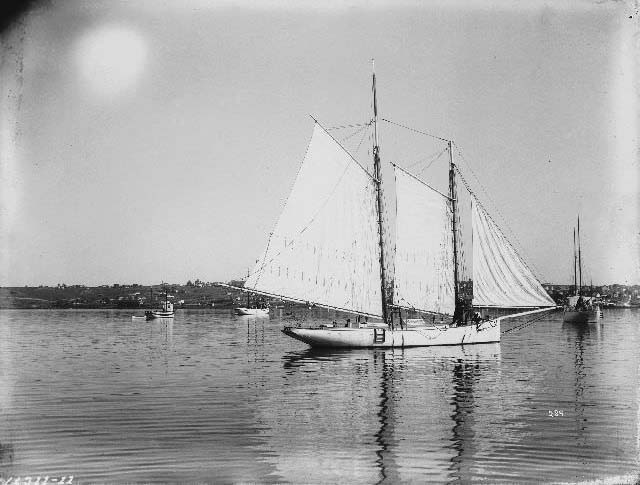 #55 The yacht Point Loma in San Diego Harbor, 1895