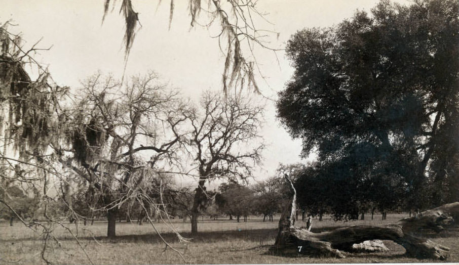 #45 Northwest corner of San Martin Ranch, 1892.
