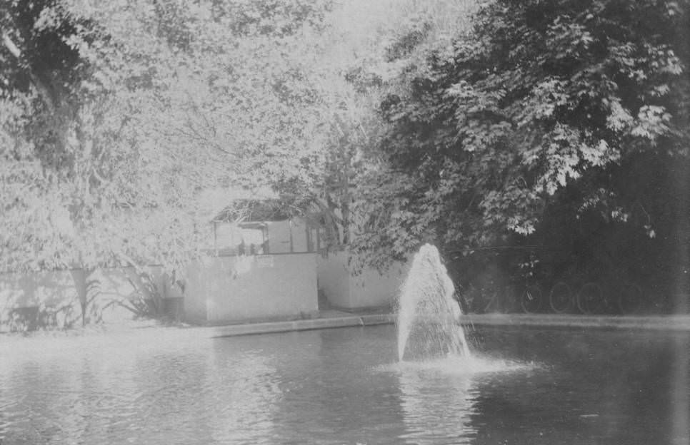 #59 Water fountain in ornamental pool, 1897.