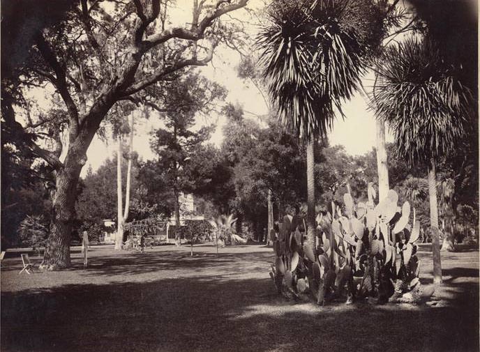 #42 Res., Edgar Mills, San Mateo, 1880