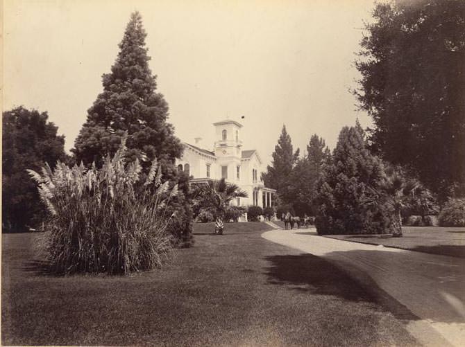 #53 Residence, W. J. Adams, Menlo, 1899