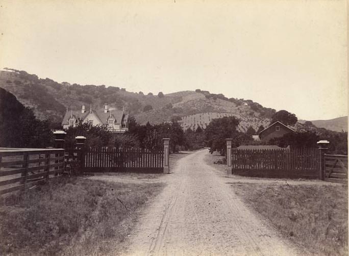 #68 Residence Andrew Smith, Redwood