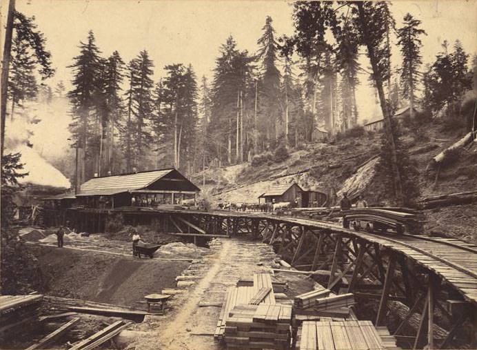 #70 Hanson’s Mill, La Honda, 1899