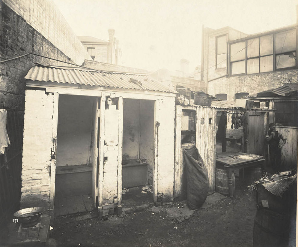 Rear of unidentified butcher’s yard with adjacent outhouses