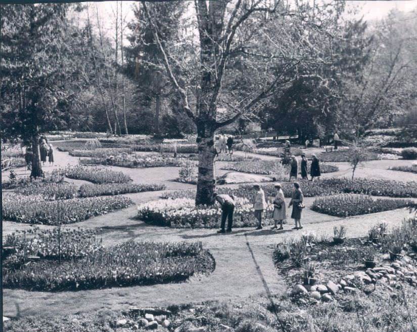 #34 Chuckanut gardens, 1960