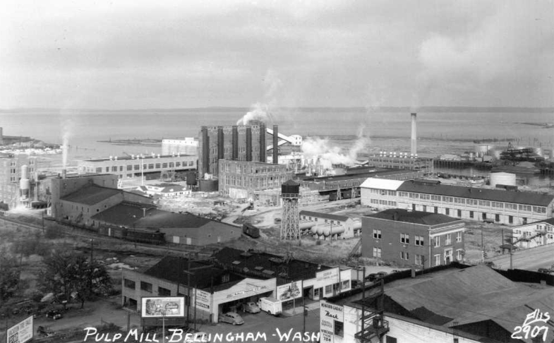 #46 Bellingham pulp mill, 1950