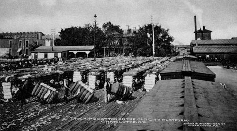 #14 Cotton ready for shipping, 1906