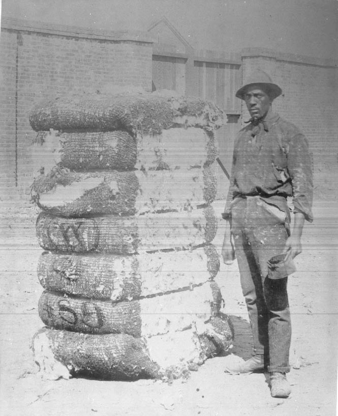 #40 Worker marking bales of cotton as sold, 1900