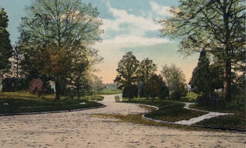#46 Autumn in Myers Park, 1920