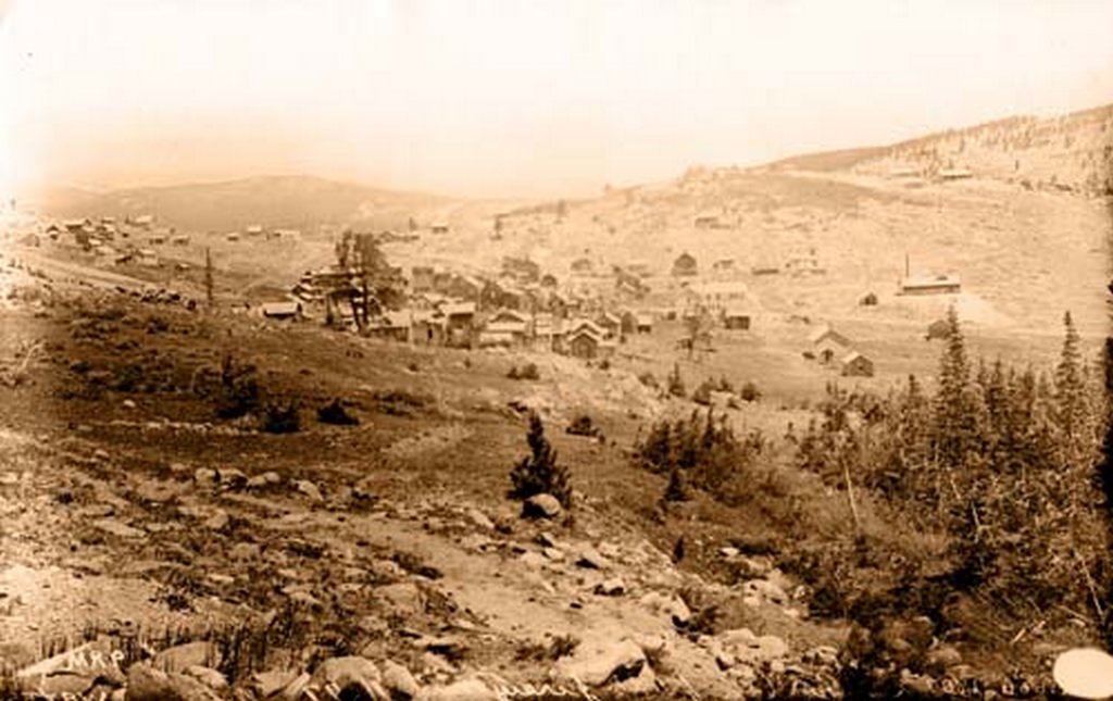 #79 Caribou after the fire of 1879