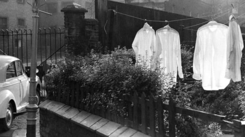 #15 Back-street garden, Camden Town, London