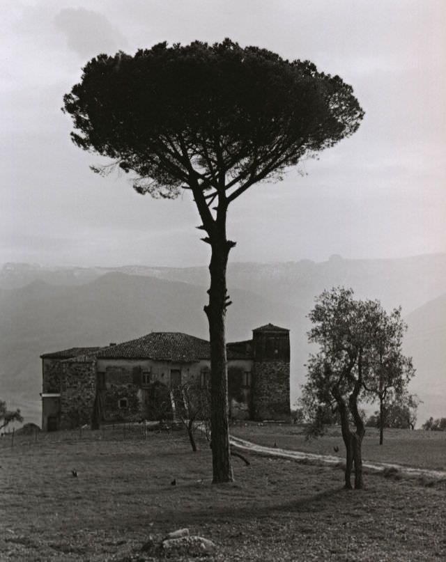 #21 Farm in the mountains between Auletta and Potenza, Italy