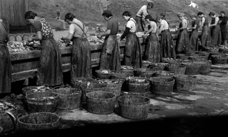 #3 Herring girls gutting fish on the quayside, North Shields
