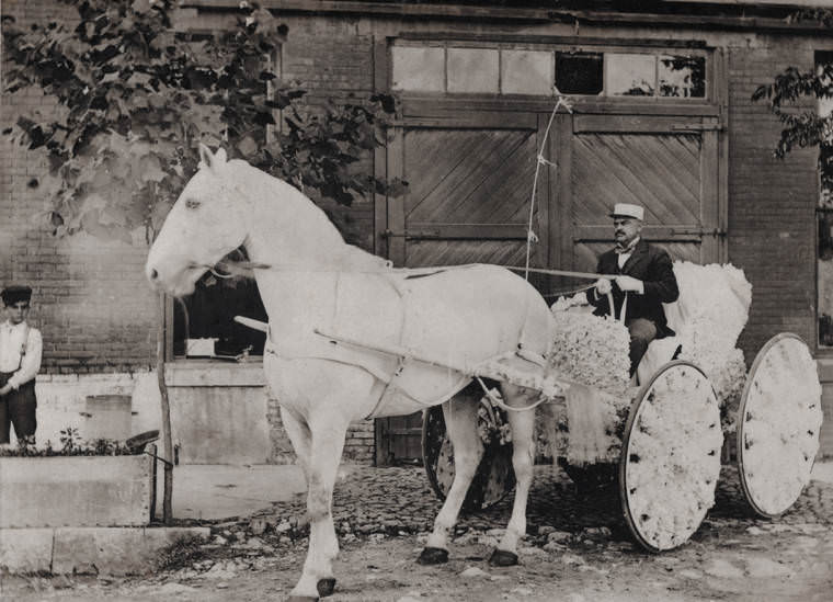 #115 John Cella, Fort Worth Fire Chief, 1898