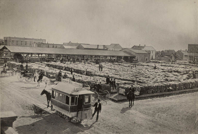 #39 Mule Cart and Cotton Yard, 1885