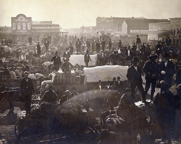 #50 Cotton Sale in Downtown Fort Worth, 1878