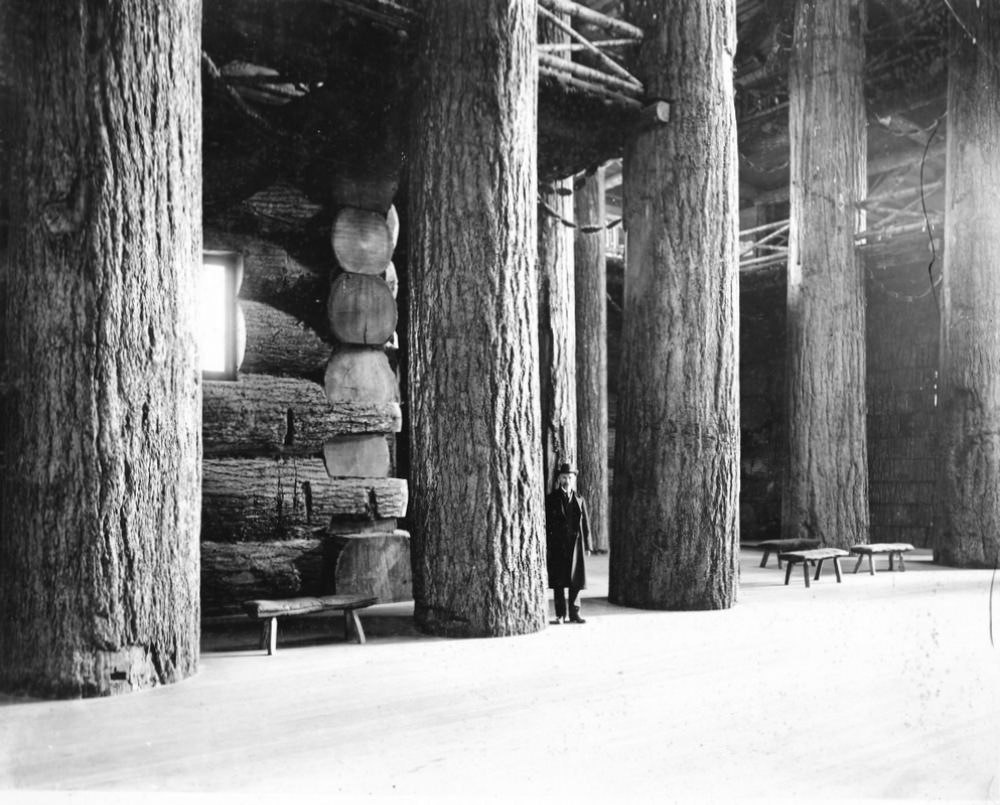 #6 The interior of the Forestry Building, ca. 1905.
