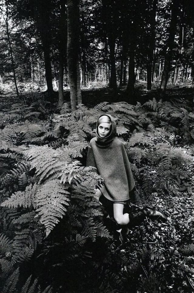 #33 Twiggy in the bracken, 1967