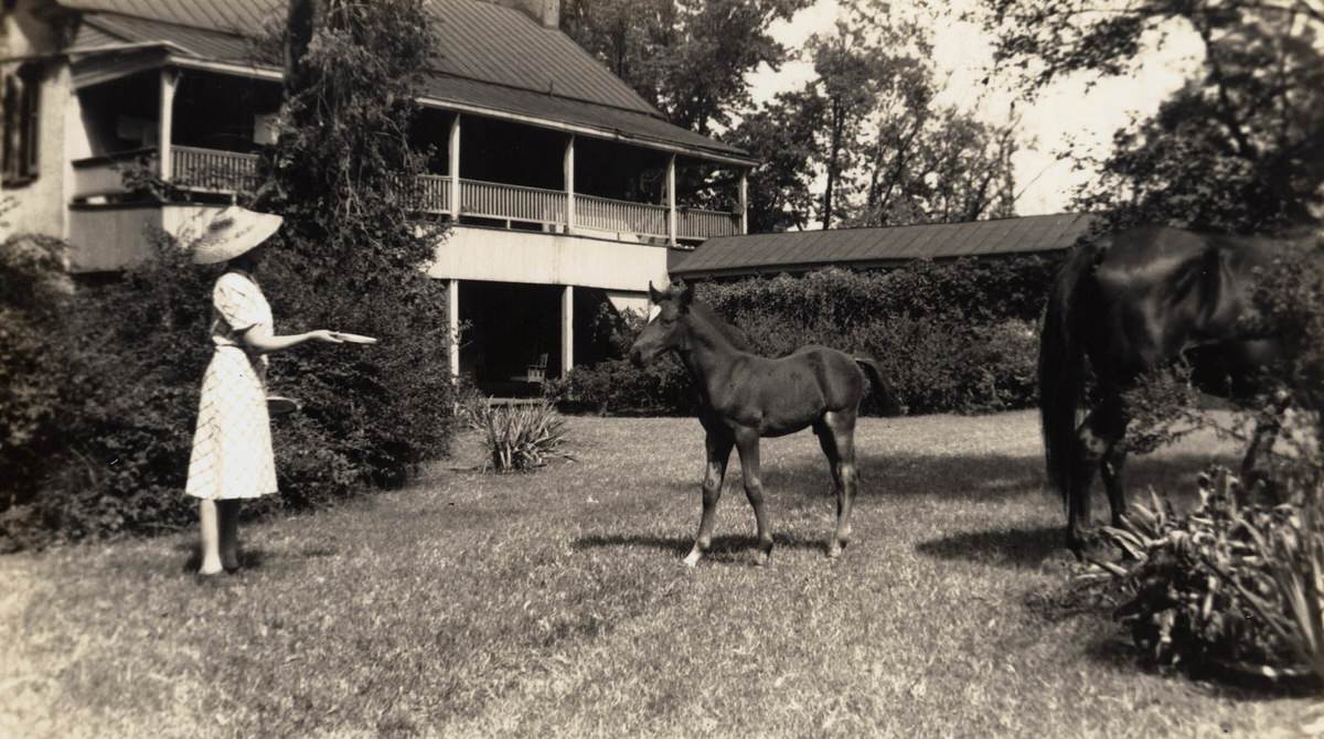 #30 Elise Croft with horse and foal, 1989
