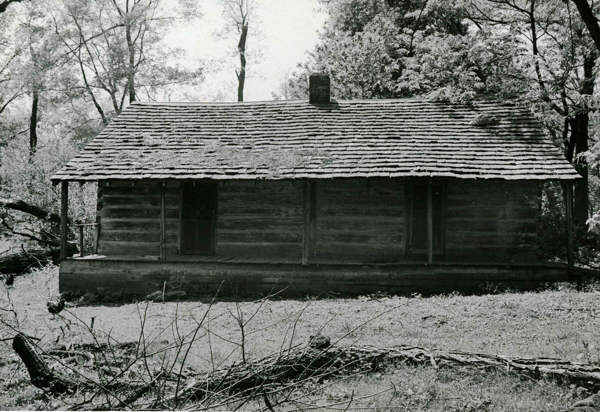 #31 Log cabin at Grassmere,1989