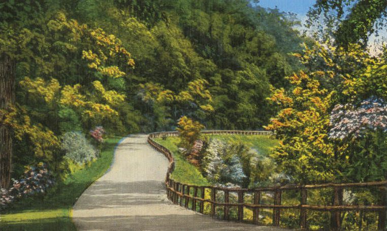 #67 Winding drive, Warner Park, Nashville, 1910s