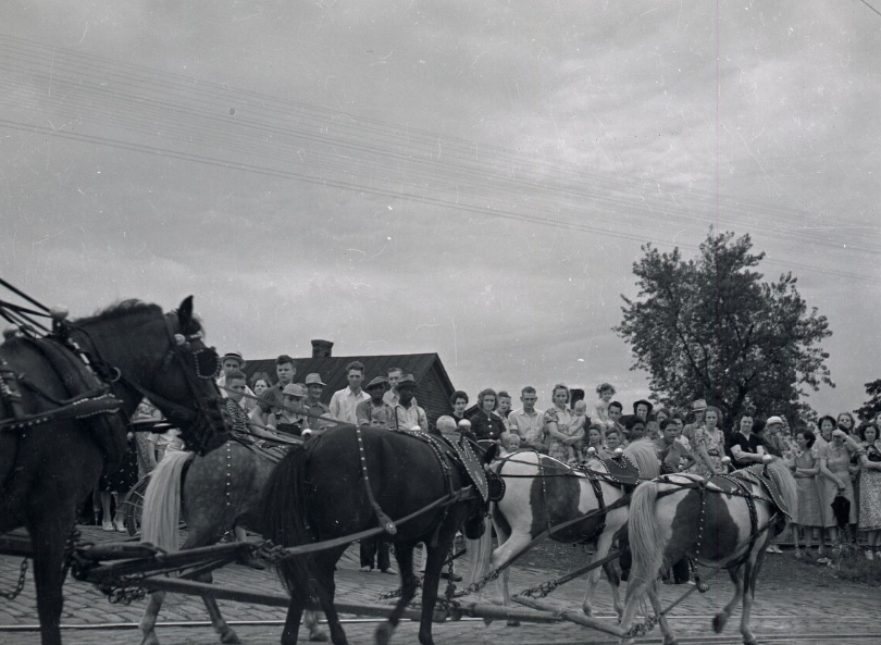 #23 Circus Parade in Nashville, Tennessee, 1938