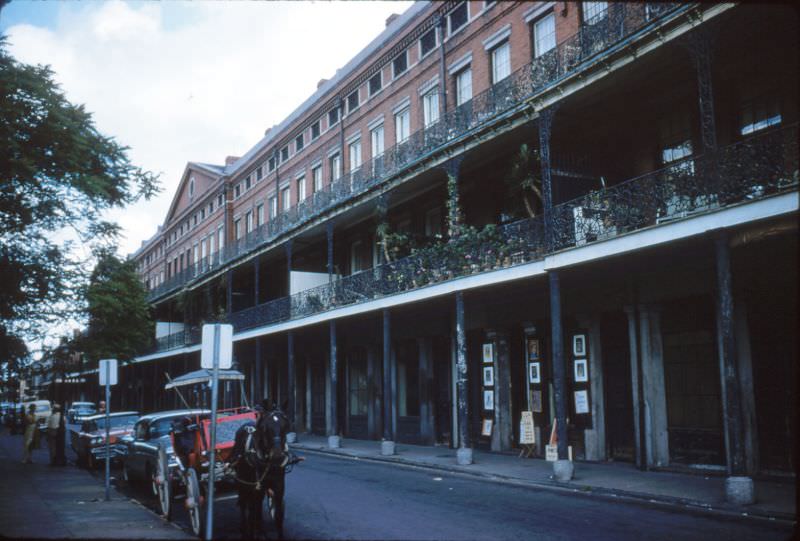 #111 Pontalba Apts, New Orleans, 1956.