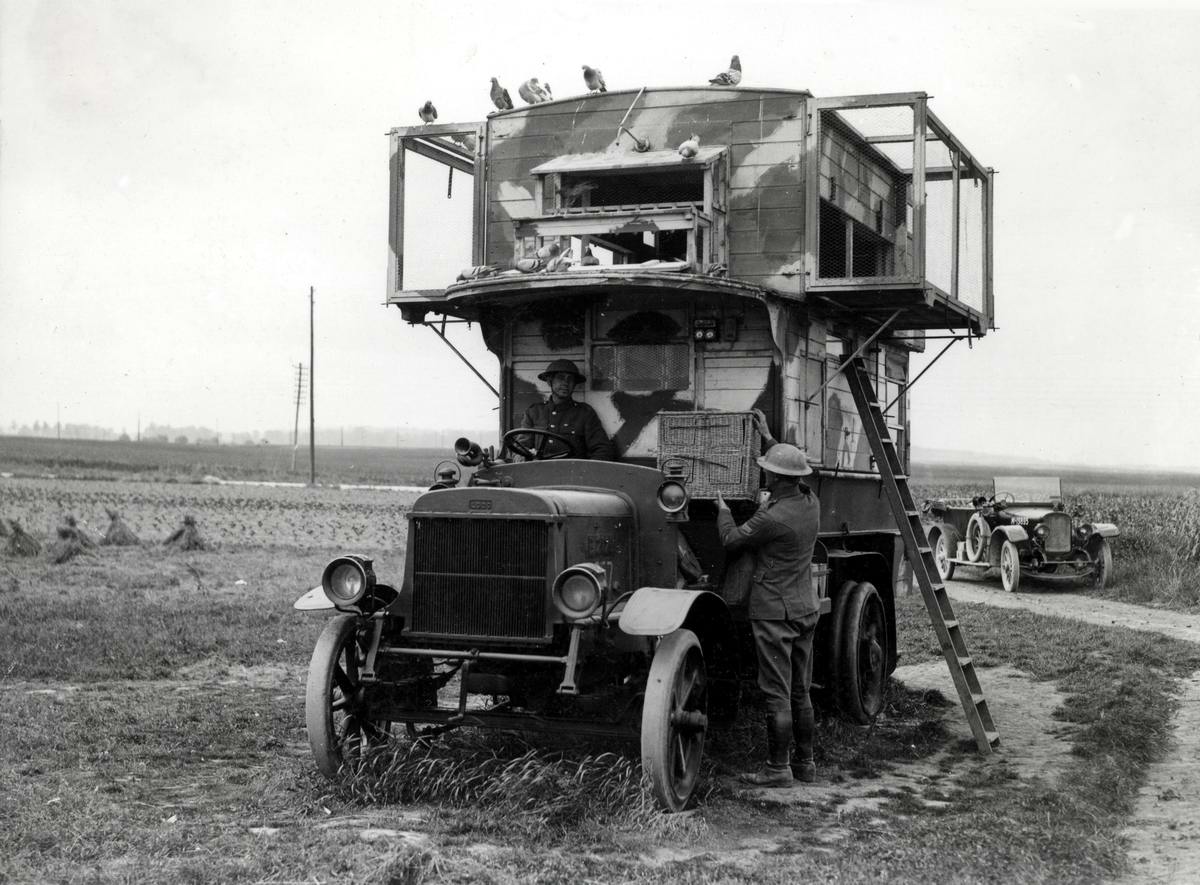 Pigeon Lofts of WWI: Historical photos of B-type Buses that were Used to Transport Messenger Birds W