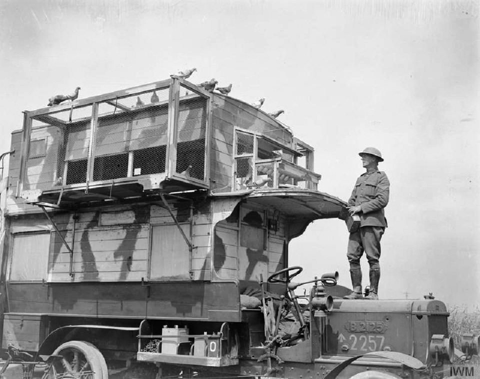 Pigeon Lofts of WWI: Historical photos of B-type Buses that were Used to Transport Messenger Birds W