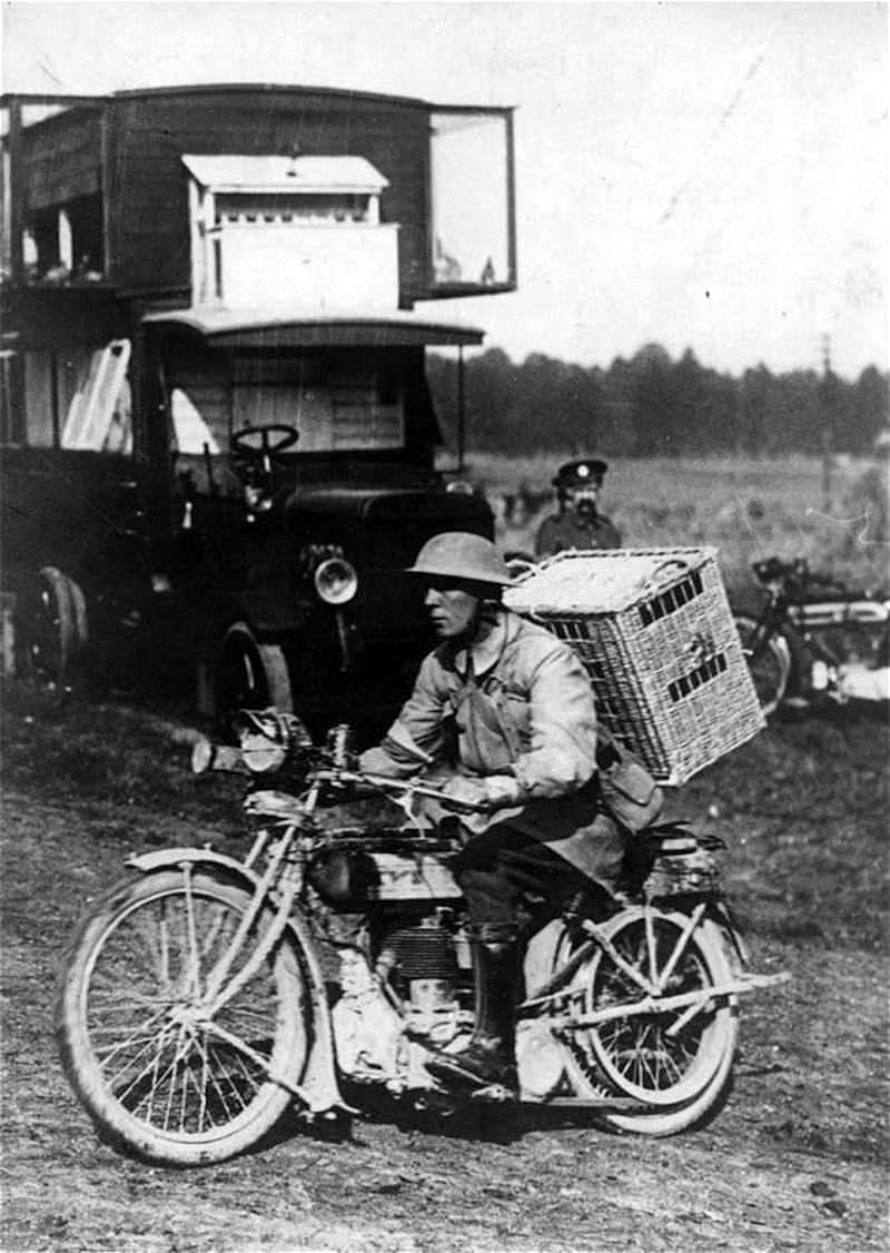 Pigeon Lofts of WWI: Historical photos of B-type Buses that were Used to Transport Messenger Birds W