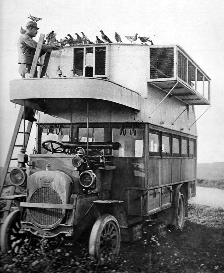 Pigeon Lofts of WWI: Historical photos of B-type Buses that were Used to Transport Messenger Birds W