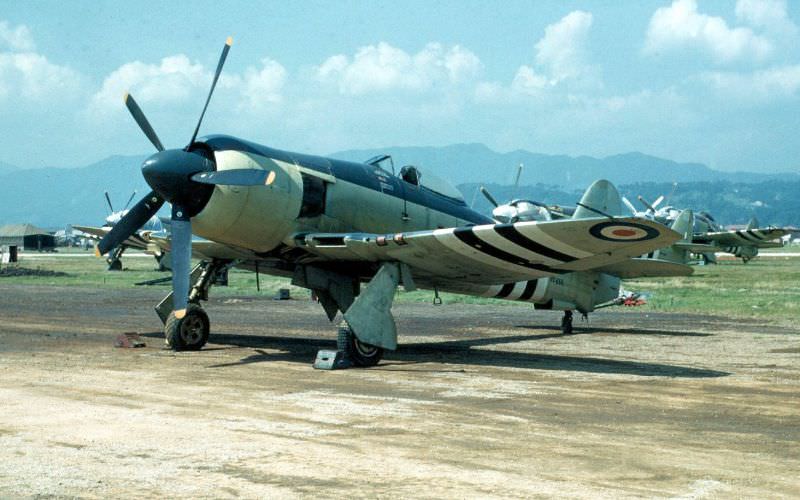 #7 Fleet air Arm Hawker Sea Furies, Iwakuni, Japan, 1951