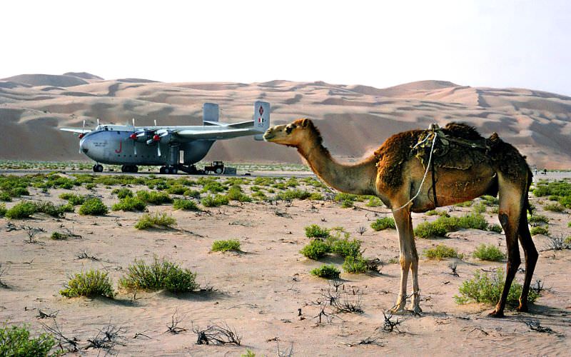 #46 30 Squadron Blackburn Beverley landed at an oasis somewhere in the Ar Rub al Khali, 1966